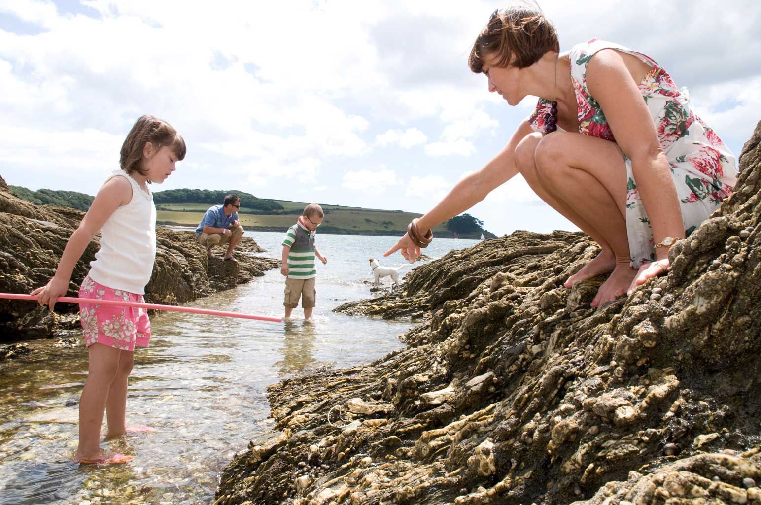 Rock-Pooling-Matt-Jessop-2.jpg