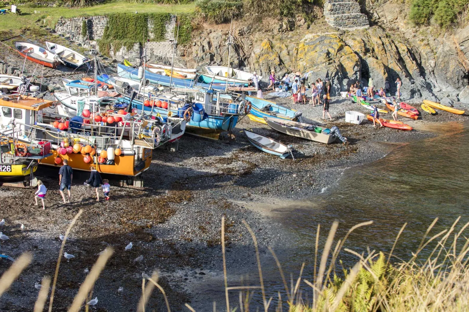 249887�20Beaches-Lizardarea-Cadgwith-29August2016-2.MattJessop.jpg