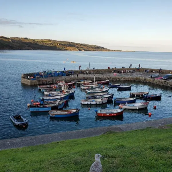 Camping Field at Little Trevothan, Coverack, Cornwall