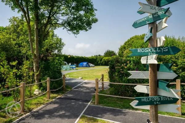 Campsite fields in Spring at Little Trevothan, Coverack, Cornwall