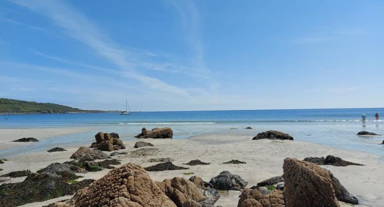 BEST FAMILY DAYS OUT NEAR COVERACK, CORNWALL - LIZARD PENINSULA GUIDE